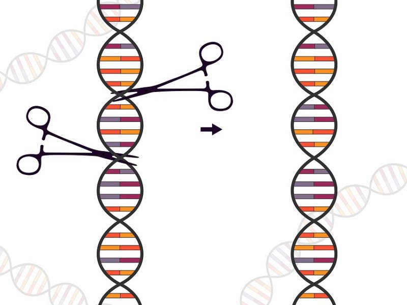 What is CRISPR? A discussion on the science of gene&nbsp;editing.